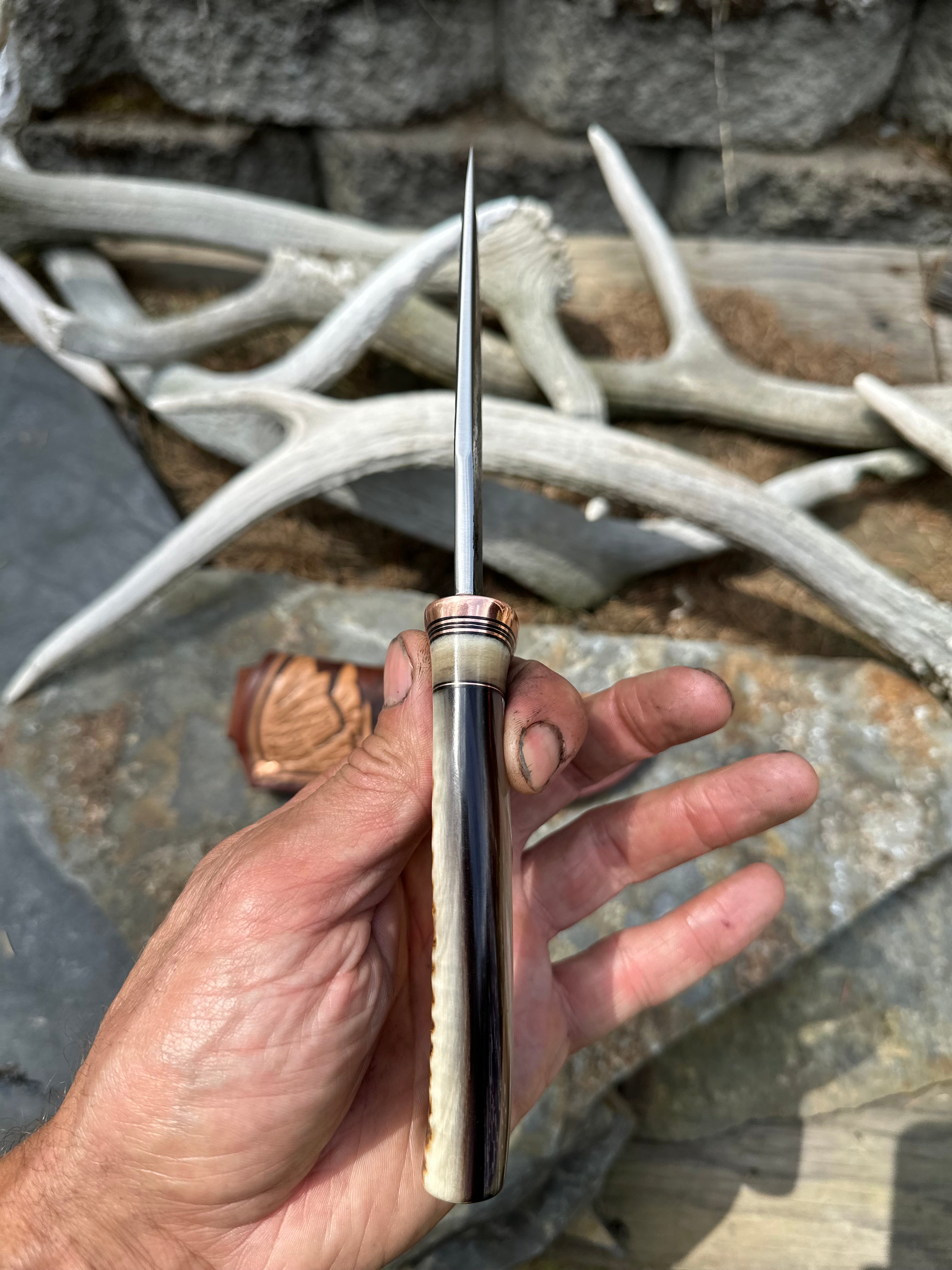 Big Horn Sheep Alaskan in Big Horn Themed Mudbone Leather