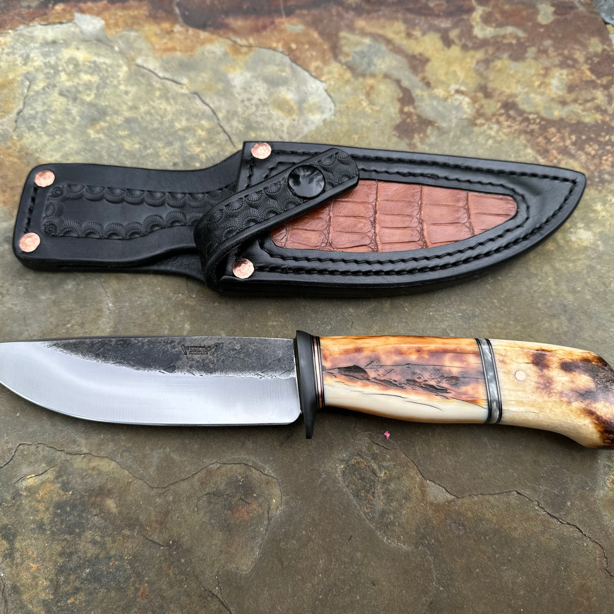 Artifact Walrus Ivory Drop Point, w/ Cayman Inlayed Sheath – Behring Made