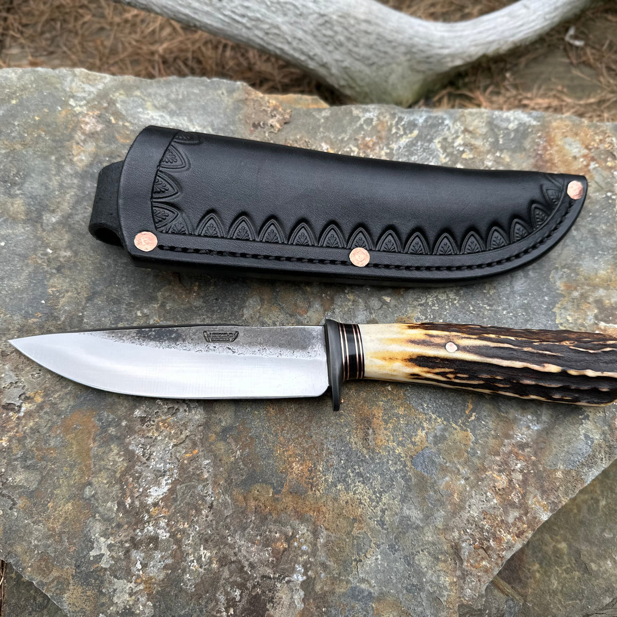 Sambar Stag Modified Drop Point – Behring Made