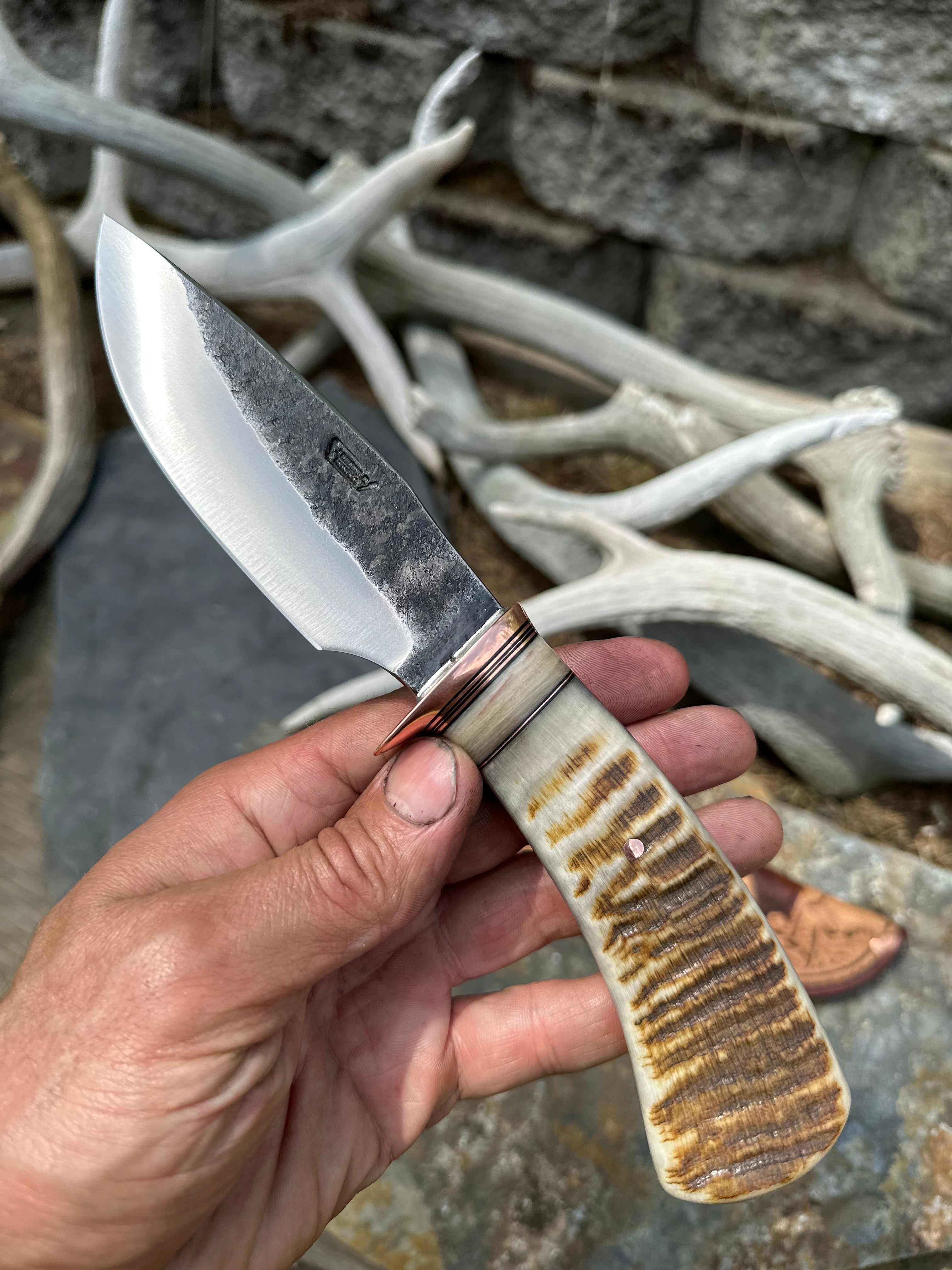 Big Horn Sheep Alaskan in Big Horn Themed Mudbone Leather