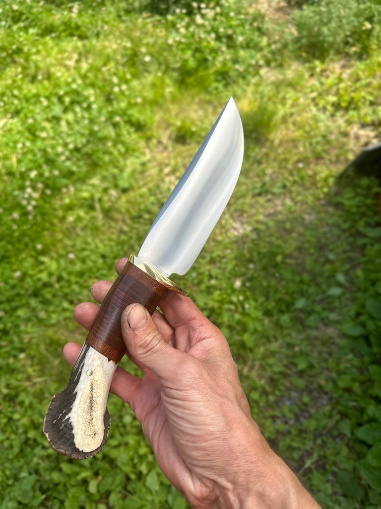 6” Crown Stag Hunter