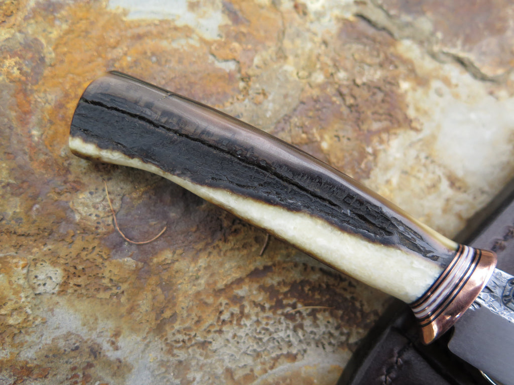 Premium Artifact Walrus Pocket Knife