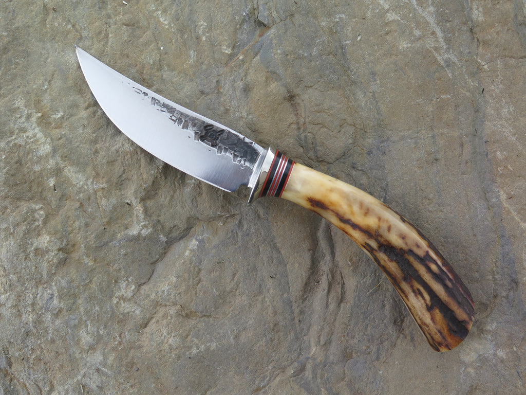 Sambar Stag Pocket Knife