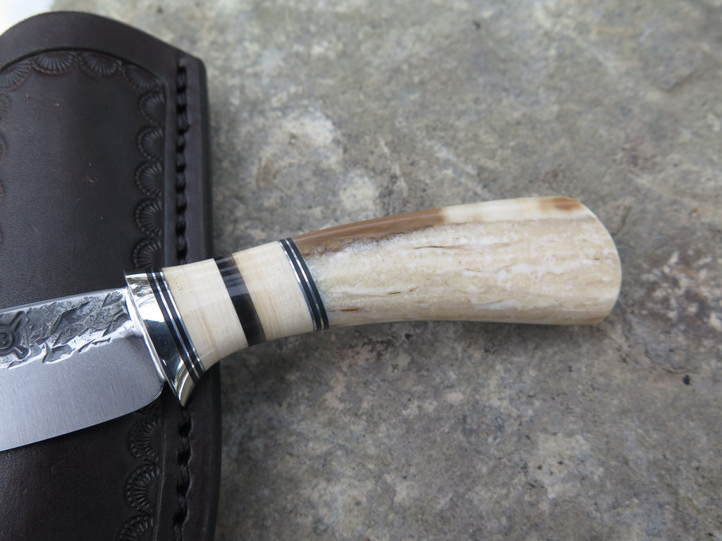 Fossil Walrus, Dall's Sheep and Mammoth Pocket Knife