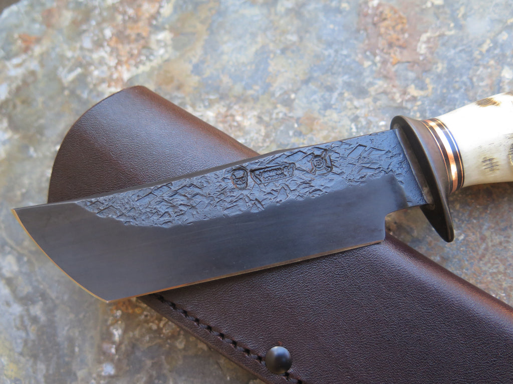 Premium Dall's Sheep Horn Blued Tanto