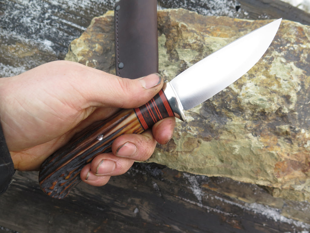 Premium Sambar Stag & Horsehide Stainless Drop Point