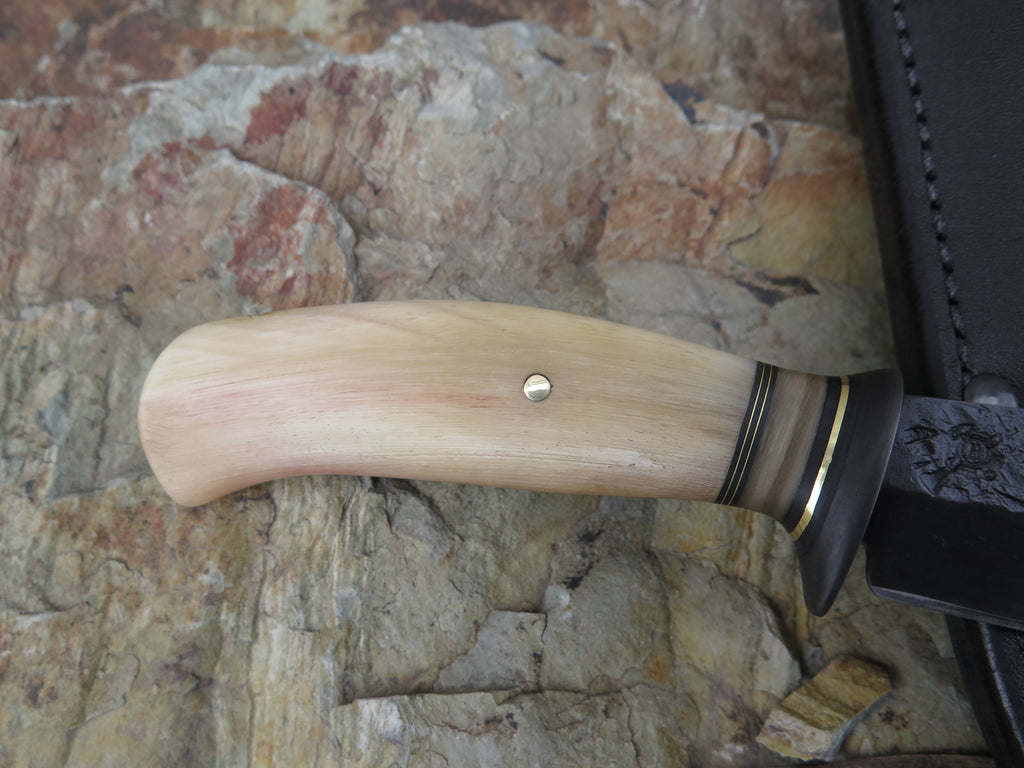 Dall Sheep Horn Blued Sharptail