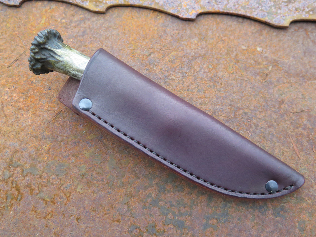 Crown Stag & Horsehide Drop Point