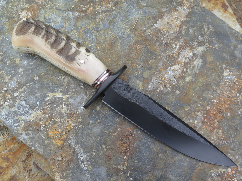 Dall's Sheep Horn Blued Modified Fighter