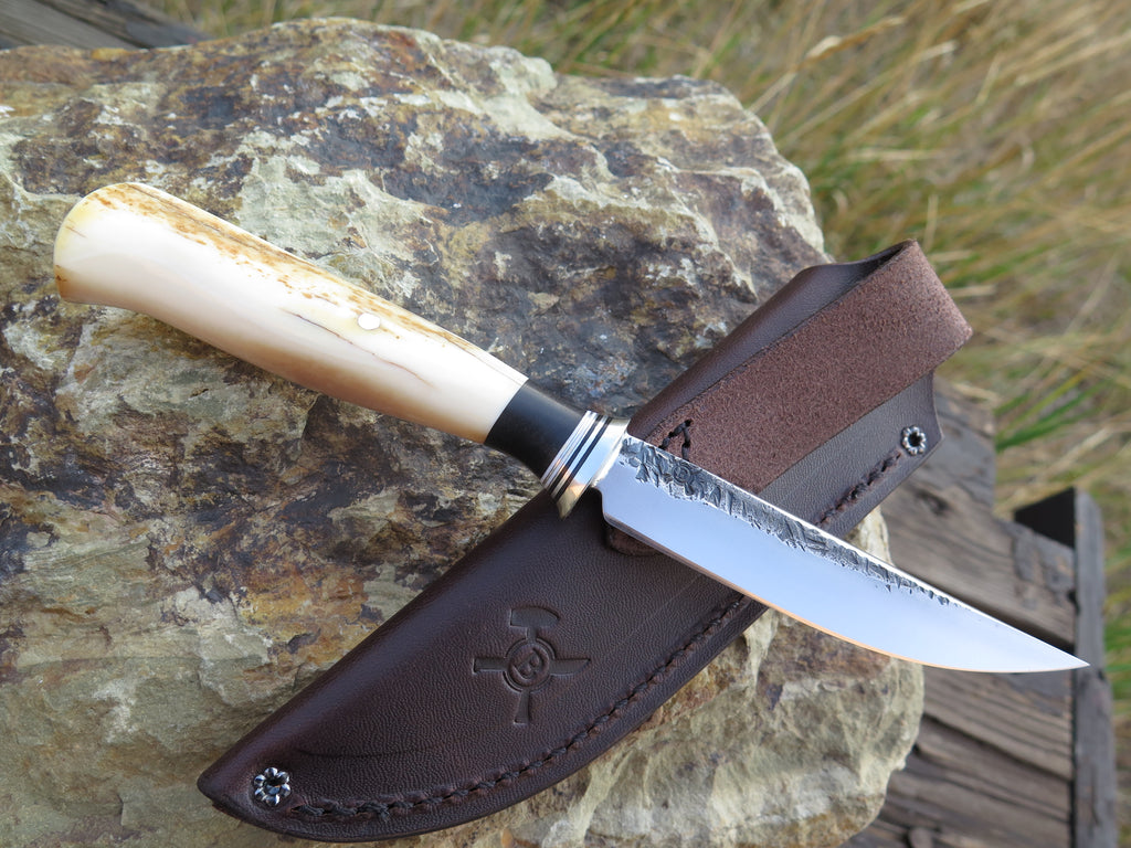 Premium Fossil Walrus and Ebony Pintail