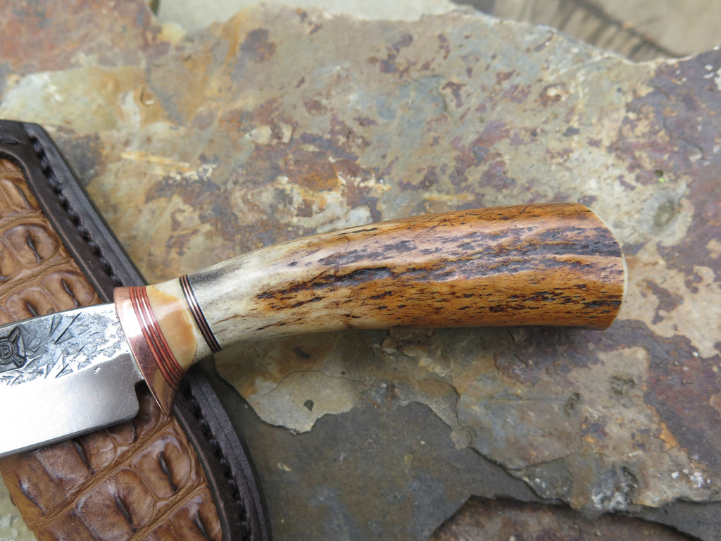 Premium Sambar Stag and Fossil Walrus Pocket Knife + Exotic inlay